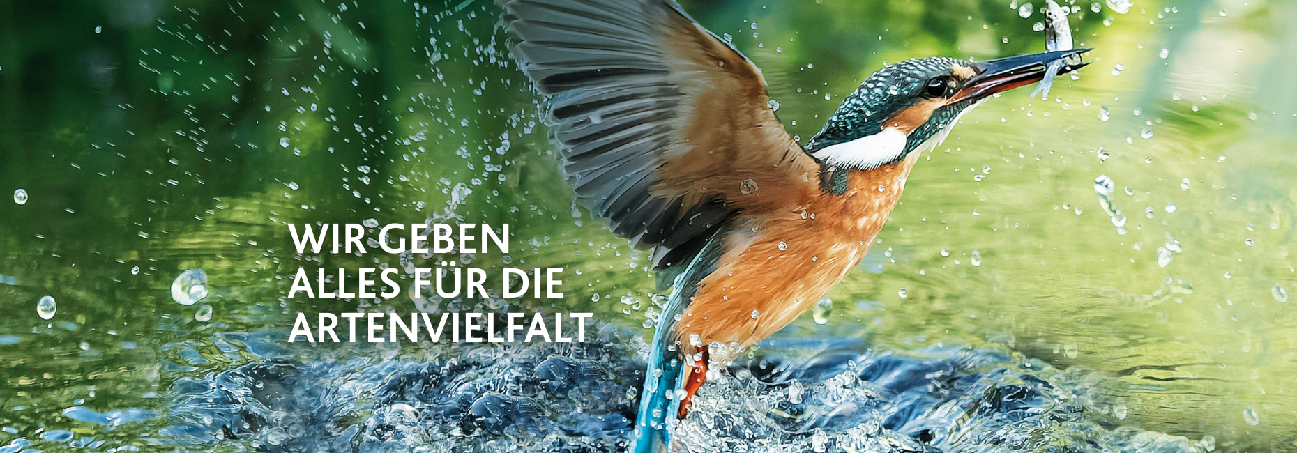 Wir geben alles für Artenvielfalt