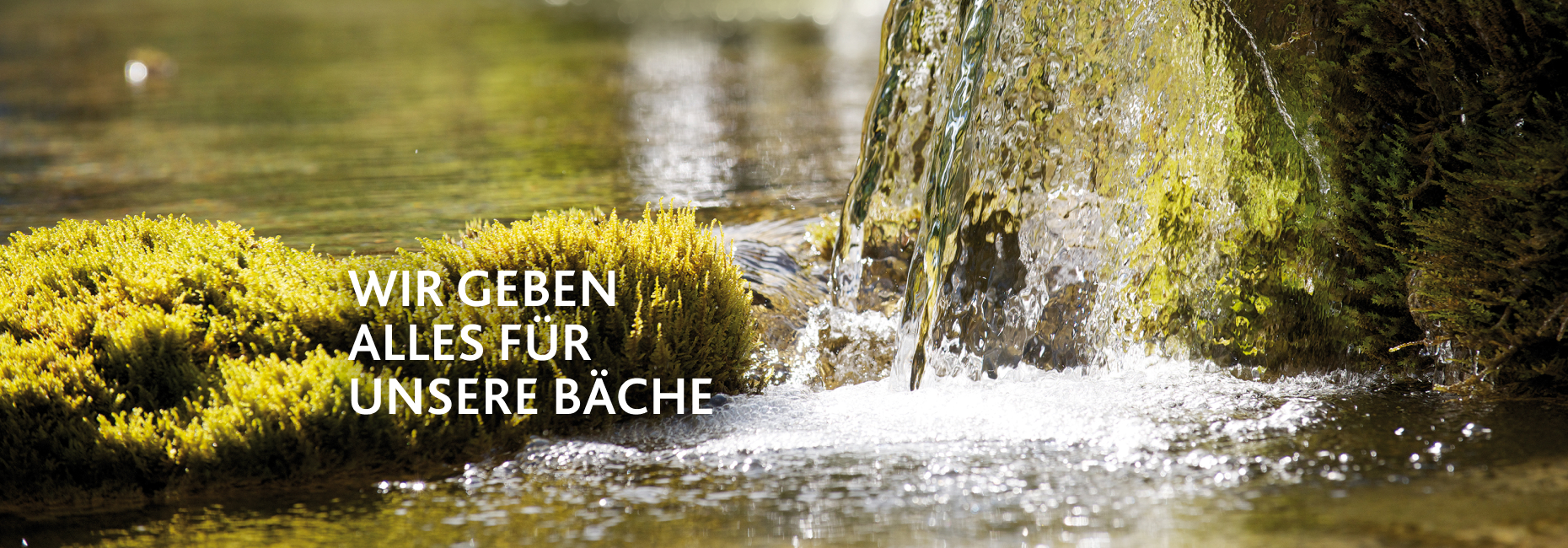 Wir geben alles für unsere Bäche