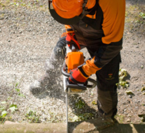 Forstwirt bei der Arbeit mit der Motorsäge. Foto: Marco Reetz/ Landesforsten RLP Forstwirt bei der Arbeit mit der Motorsäge. Foto: Marco Reetz/ Landesforsten RLP
