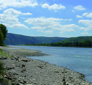 Rhein