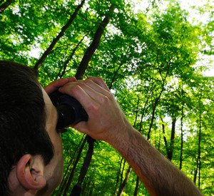 FAWF Forscher im Laubwald mit Fernglas