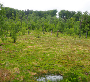 Oberluderbruch