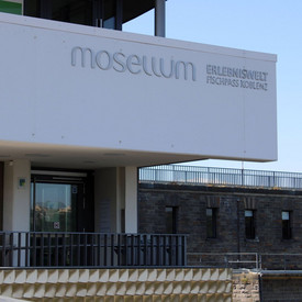 Mosellum Mosellum