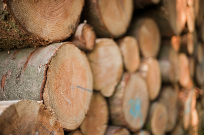 Holz – Rohstoff der Zukunft Nadelholzpolter