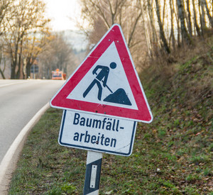Schild Baumfaellarbeiten.jpg Schild Baumfaellarbeiten