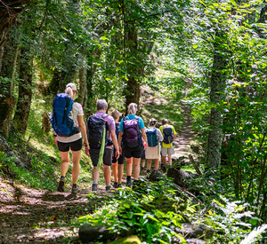Wandergruppe im Wald