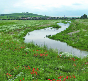 Appelbach