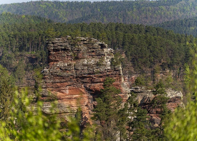 Großer Felsen im Wald