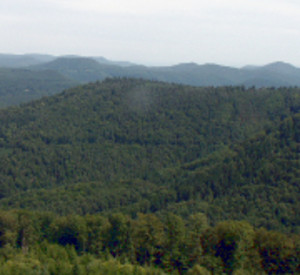 Weitsicht vom Luitpoldturm über den Pfälzerwald. Foto: Landesforsten RLP/Christoph Mayer Weitsicht vom Luitpoldturm über den Pfälzerwald. Foto: Landesforsten RLP/Christoph Mayer