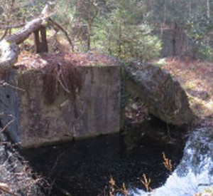 ehemalige Westwallbunker-Anlage im Bienwald ehemalige Westwallbunker-Anlage im Bienwald