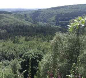 Blick über den Hunsrück, Foto: Gerhard Hänsel Blick über den Hunsrück, Foto: Gerhard Hänsel