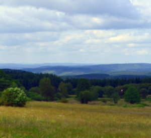Stegskopf