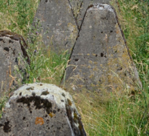 Höckerlinie des Westwalls Höckerlinie des Westwalls