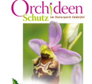 Titelseite der Broschüre 'Orchideen Schutz im Naturpark Südeifel' Titelseite der Broschüre 'Orchideen Schutz im Naturpark Südeifel'
