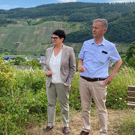 Sommertour: Weinbauministerin Christine Schneider informiert sich über Steillagenweinbau an der Mosel Sommertour: Weinbauministerin Christine Schneider informiert sich über Steillagenweinbau an der Mosel