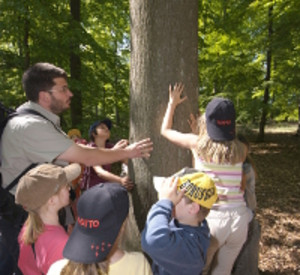 Umweltbildung im Wald, Foto: Landesforsten RLP/Gellert & Partner Umweltbildung im Wald, Foto: Landesforsten RLP/Gellert & Partner