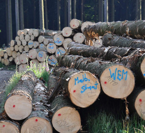 x-default Holzstämme