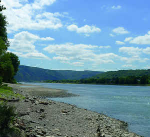 Rhein_01 Rhein