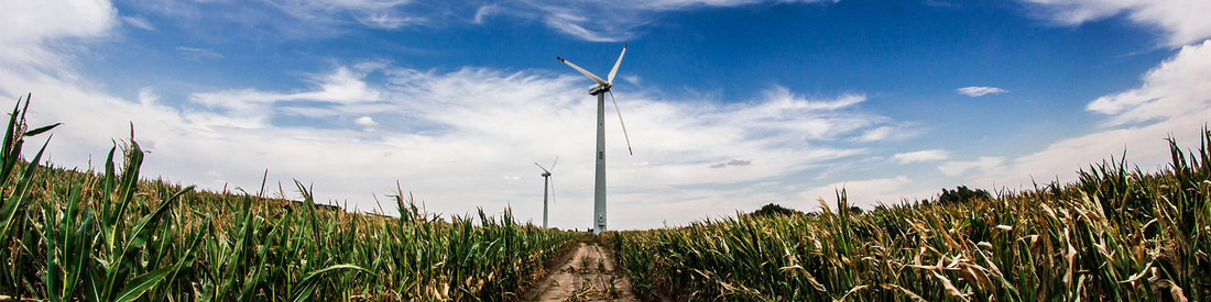 Umweltschutz / Umwelt und Gesundheit Windräder im Maisfeld