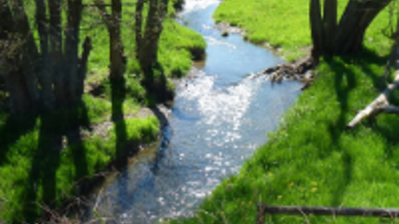 Bachlauf inmitten einer grünen Wiese Bachlauf inmitten einer grünen Wiese