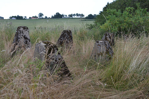 Höckerlinie am ehemaligen Westwall