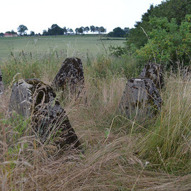 Westwall Höckerlinie am ehemaligen Westwall