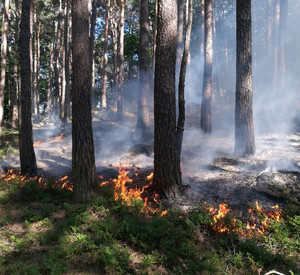 Waldbrand