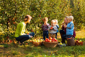 Zwei Frauen mit kleinen Kindern bei der Apfelernte