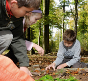 Umweltbildung mit Kindern im Wald Umweltbildung mit Kindern im Wald