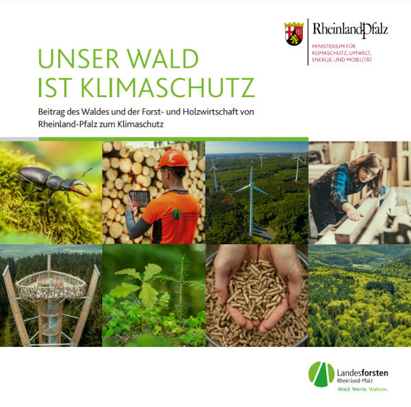 Titelseite der Broschüre "Unser Wald ist Klimaschutz"