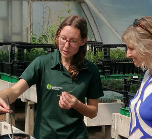 Katrin Eder im forstlichen Genressourcenzentrum der FAWF
