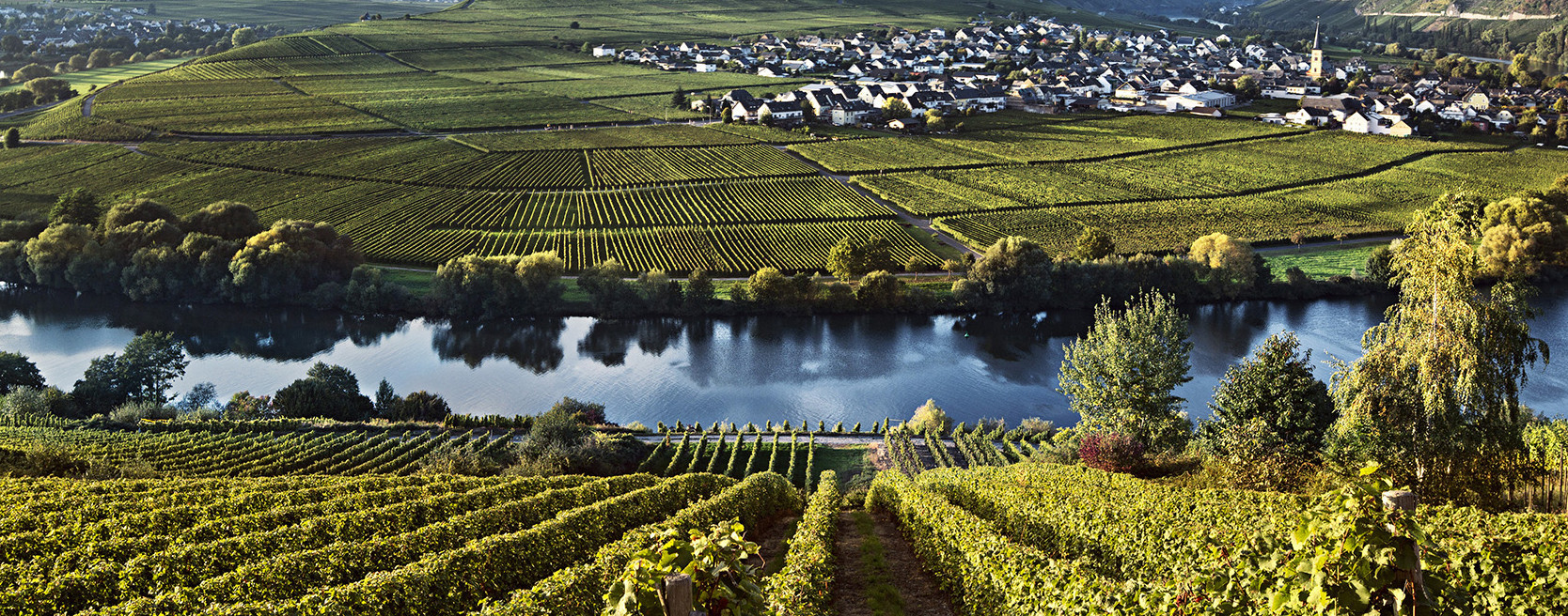 Weinregion in Rheinland-Pfalz: Mosel