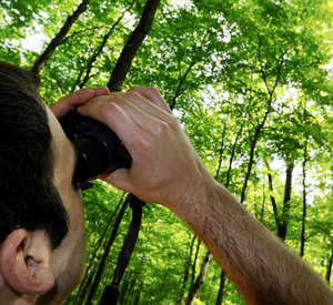 Forscher mit Fernglas im Laubwald