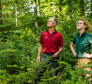 Försterin und Förster unterwegs in einem Mischwald